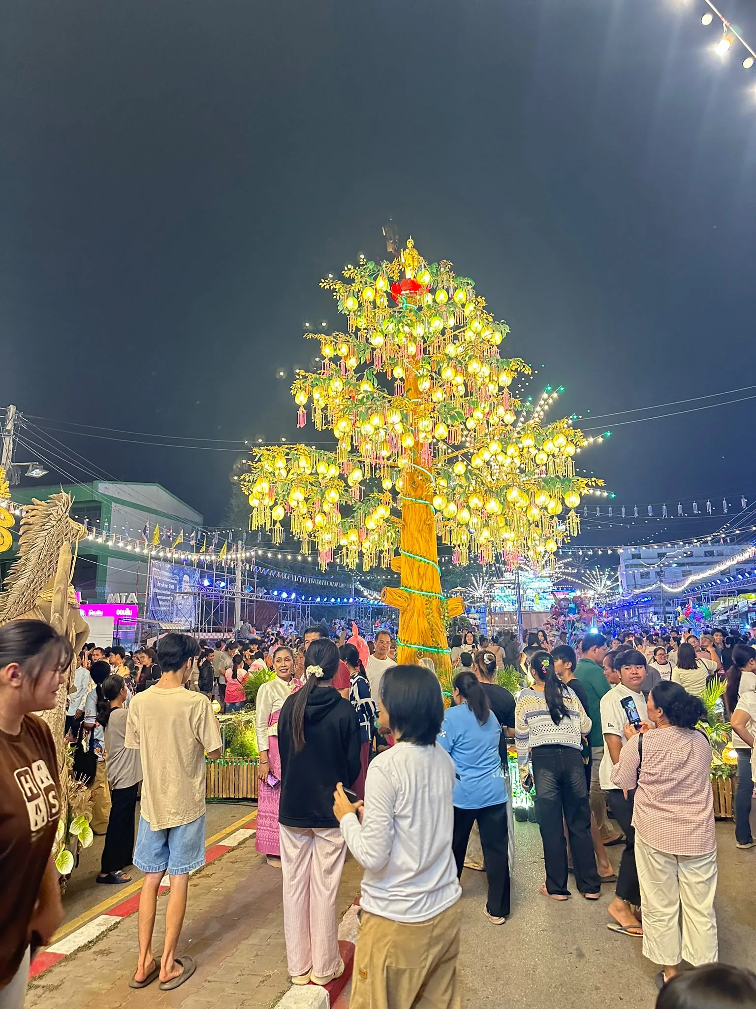 A krathup tree on the road through the town
