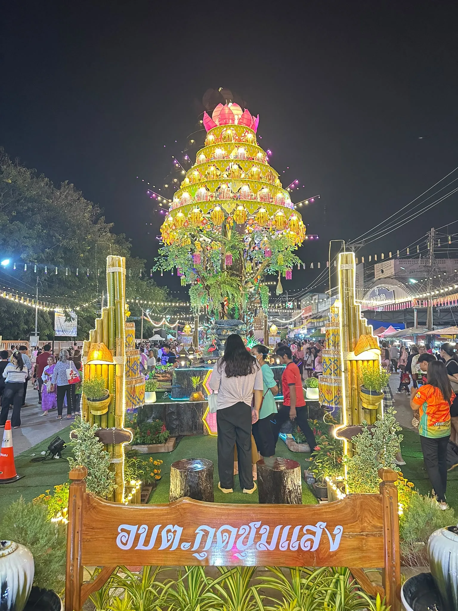 The tree of Kut Chum Saeng subdistrict