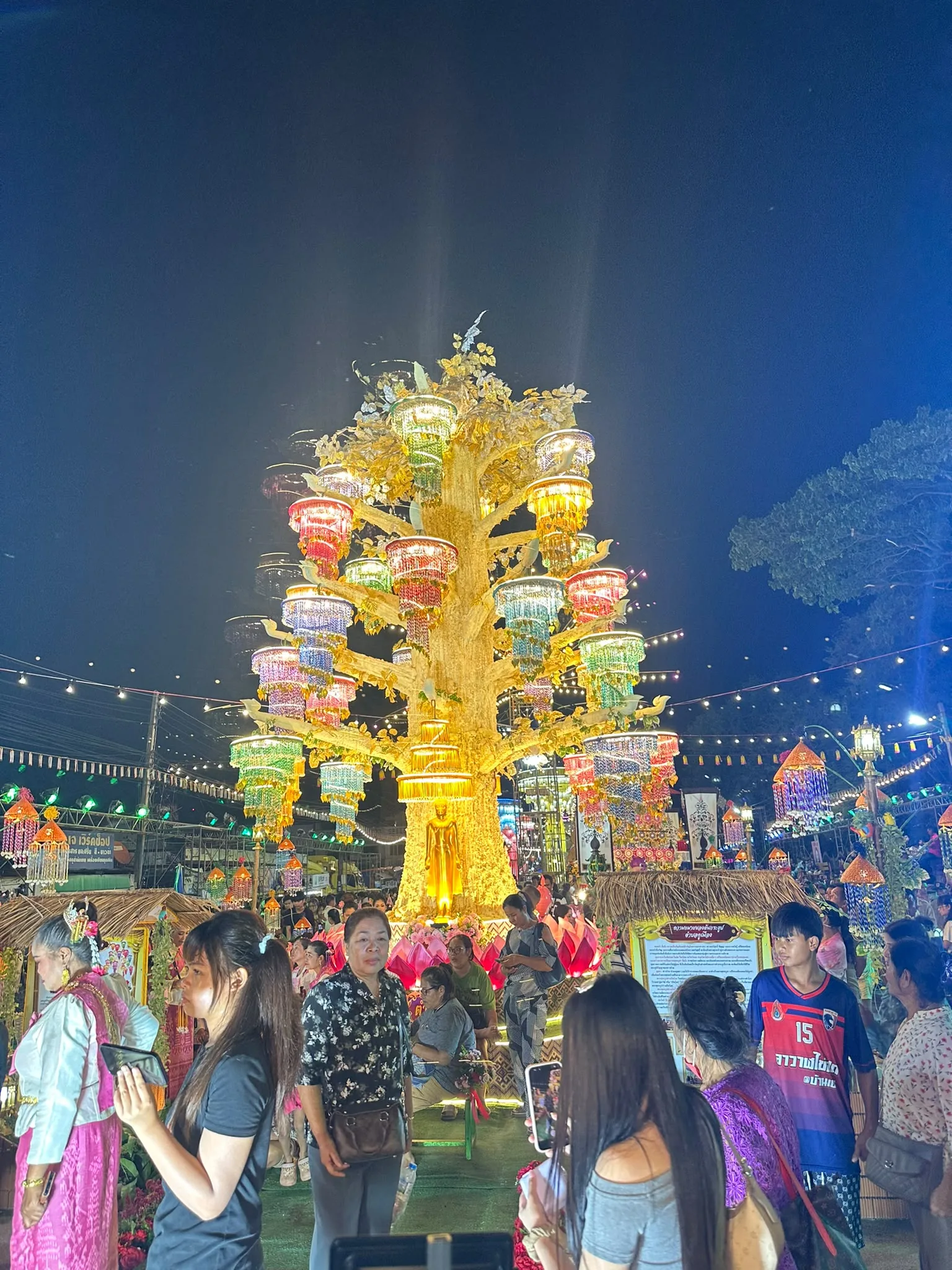 Lanterns on a krathup tree