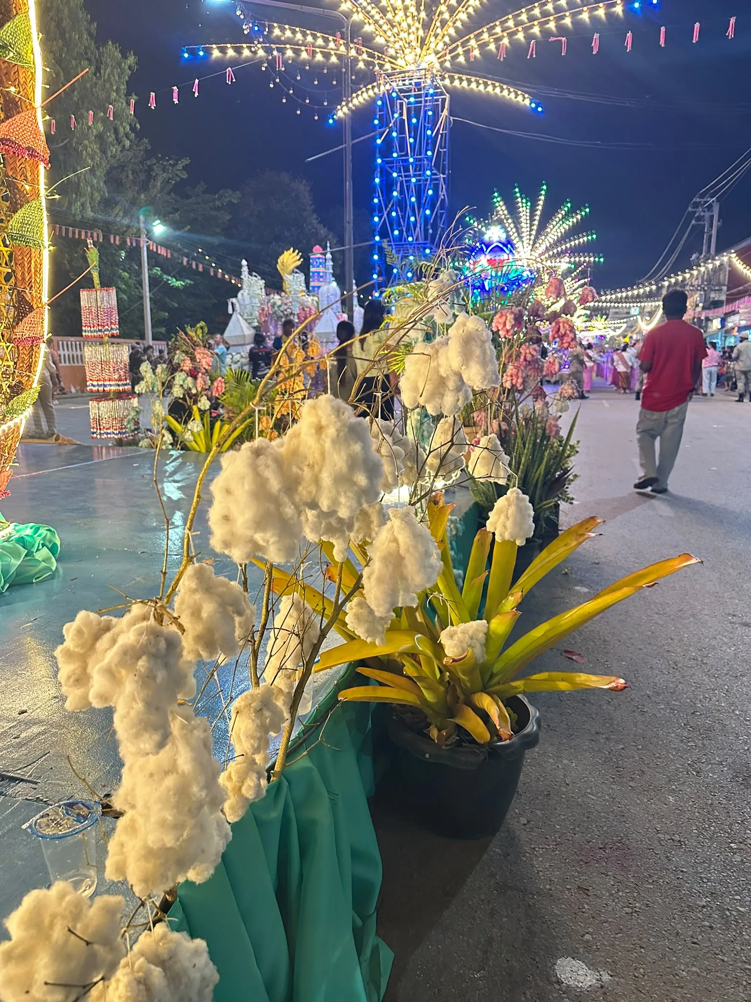 Flowers set out along the road