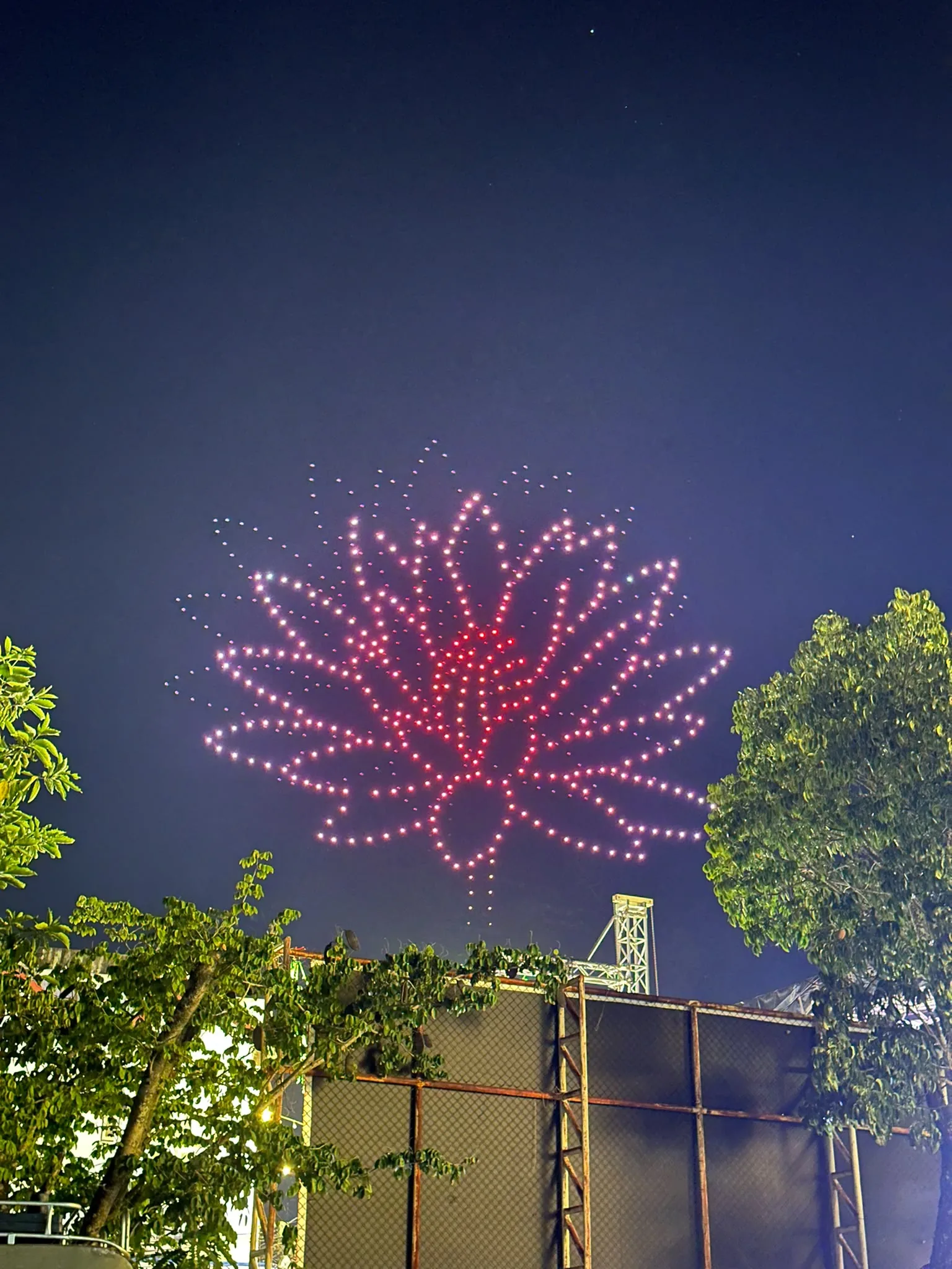 A lotus