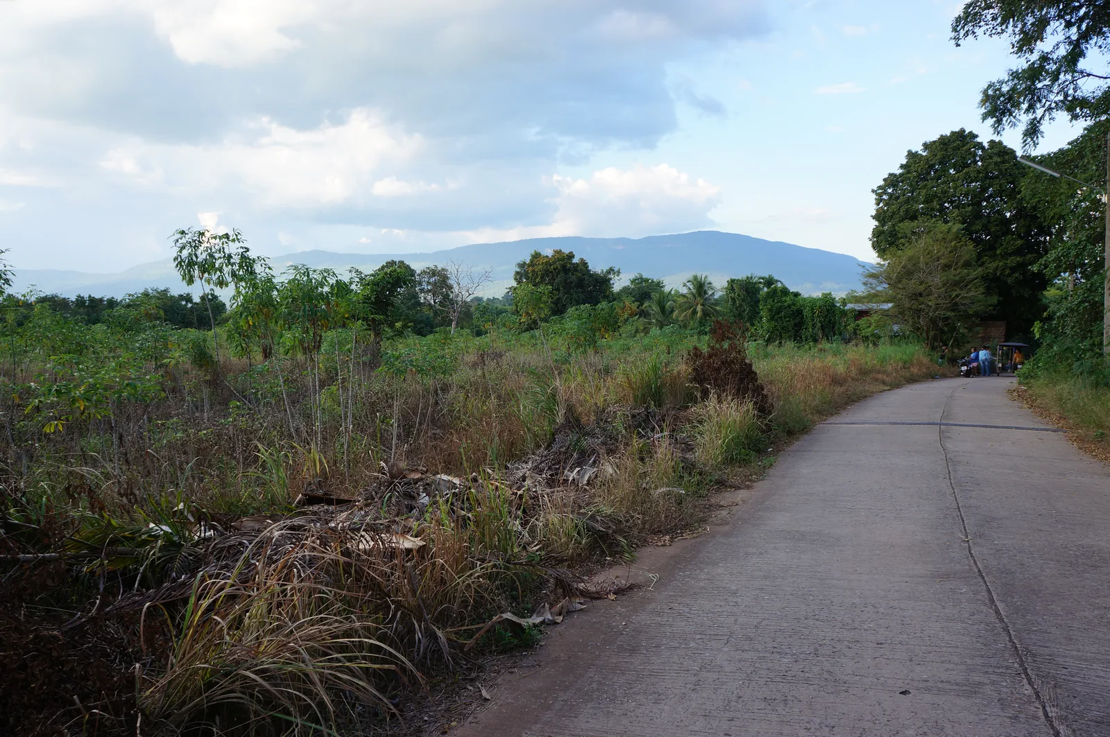 The lane out of the village