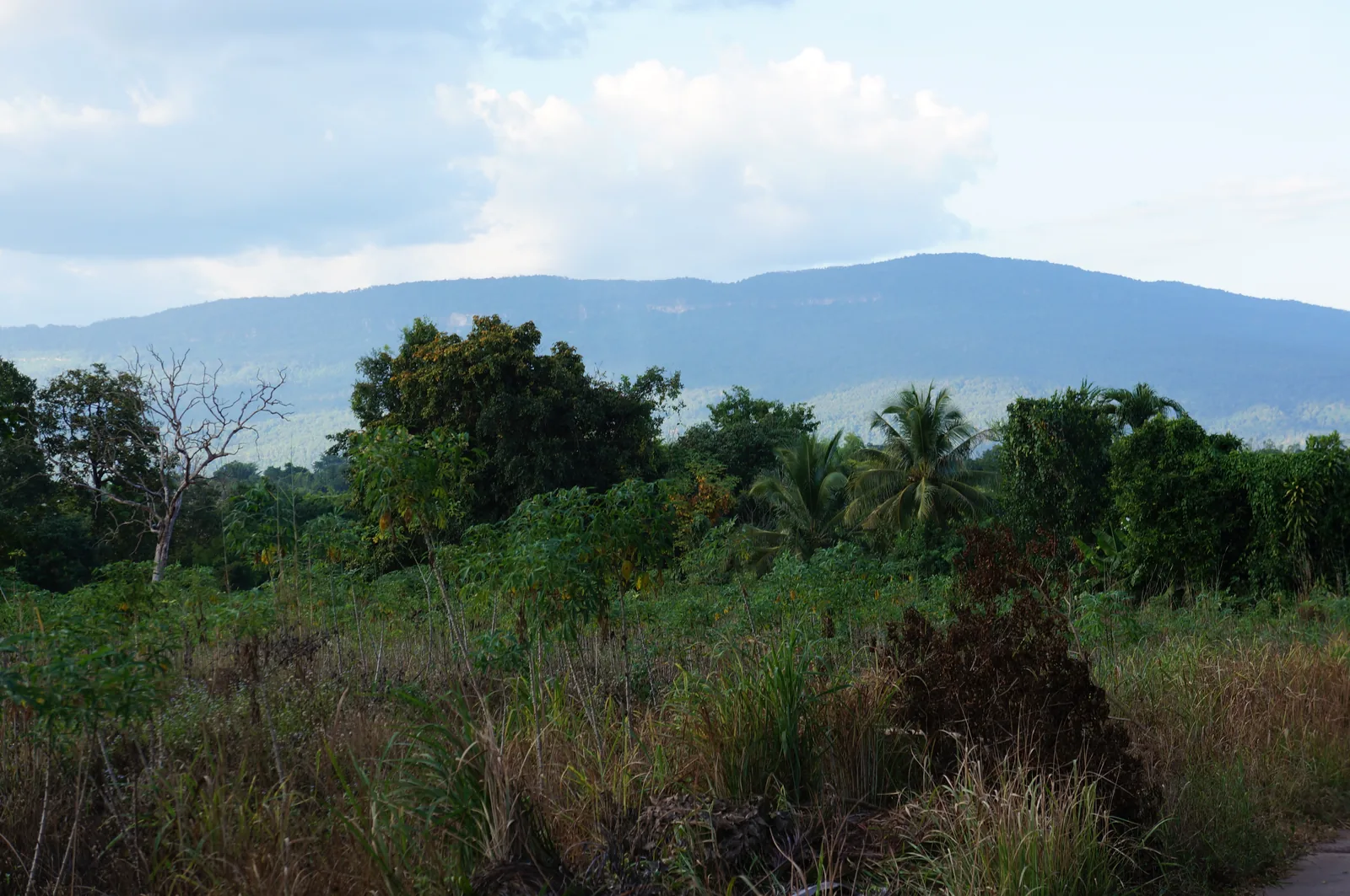 The hills north of us