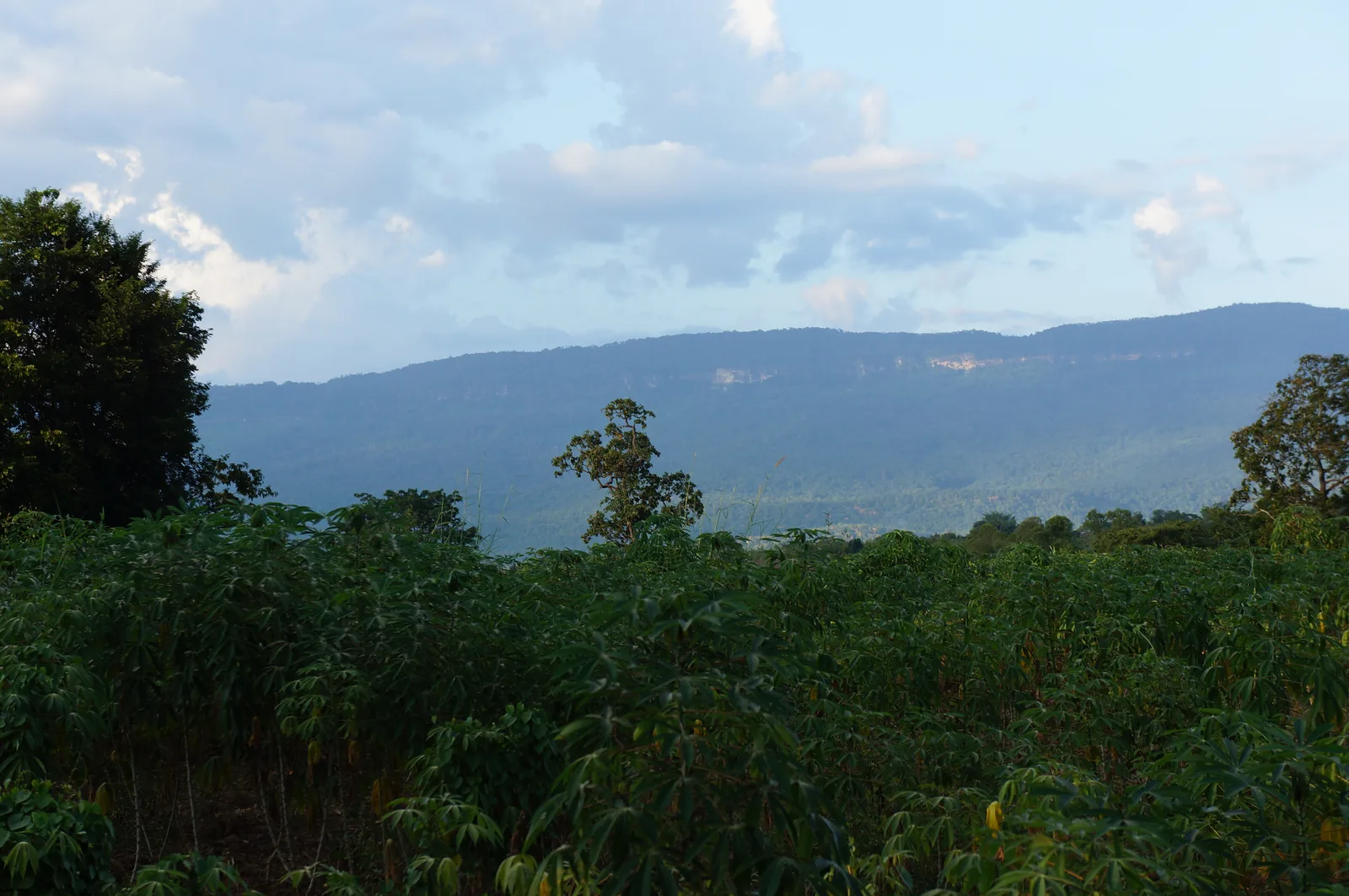 The same ridge towards evening